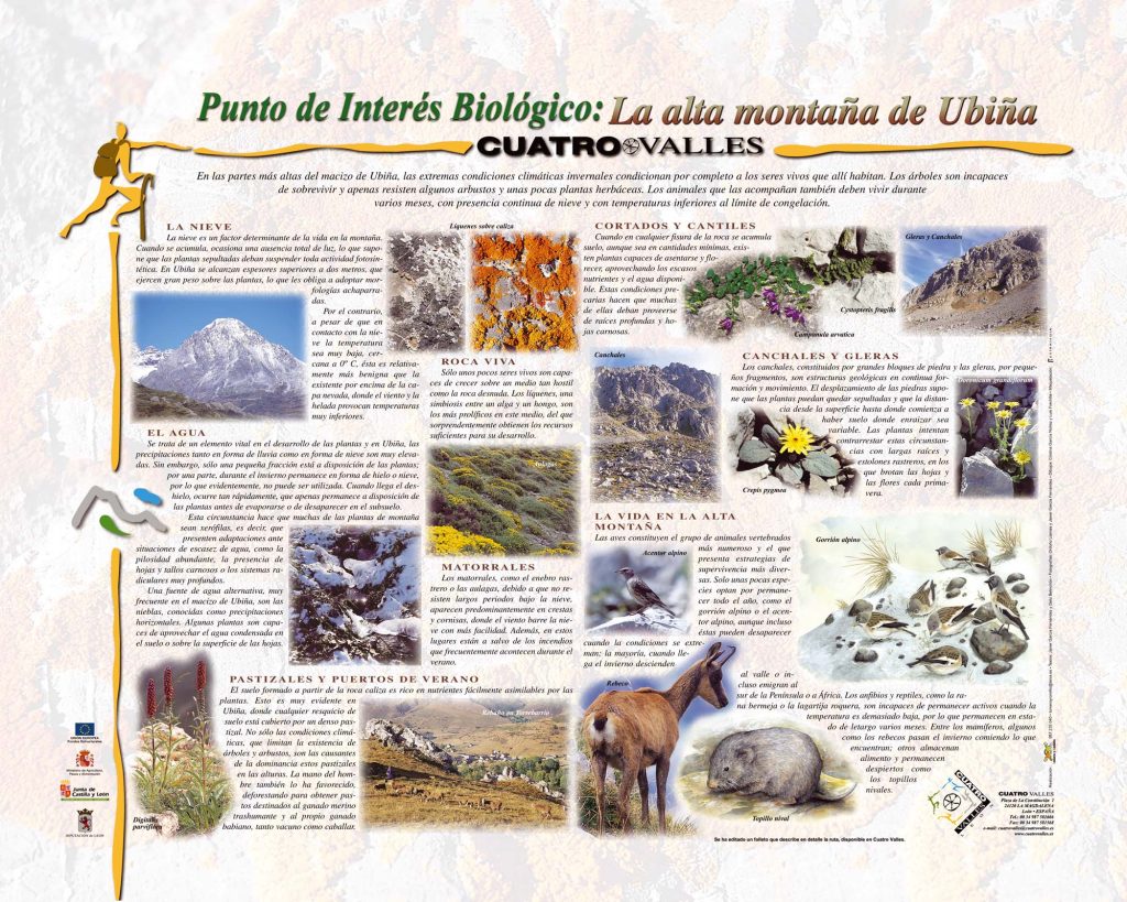 PIN Alta Montaña de Ubiña