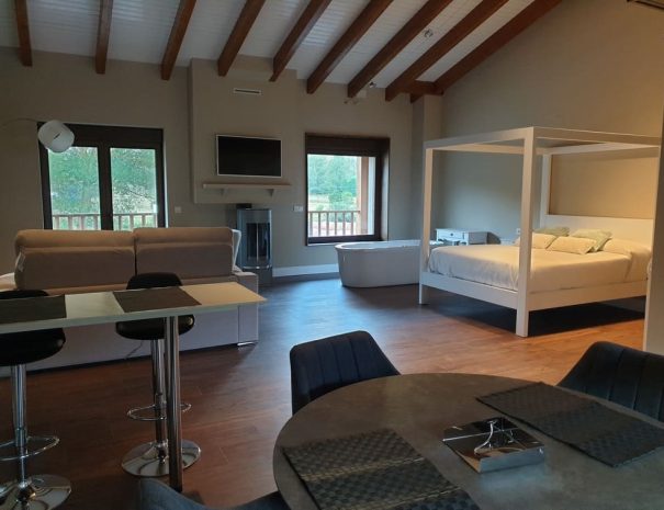 Apartamento Las Perseidas Babia