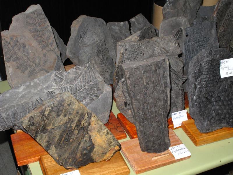 Colección geográfica