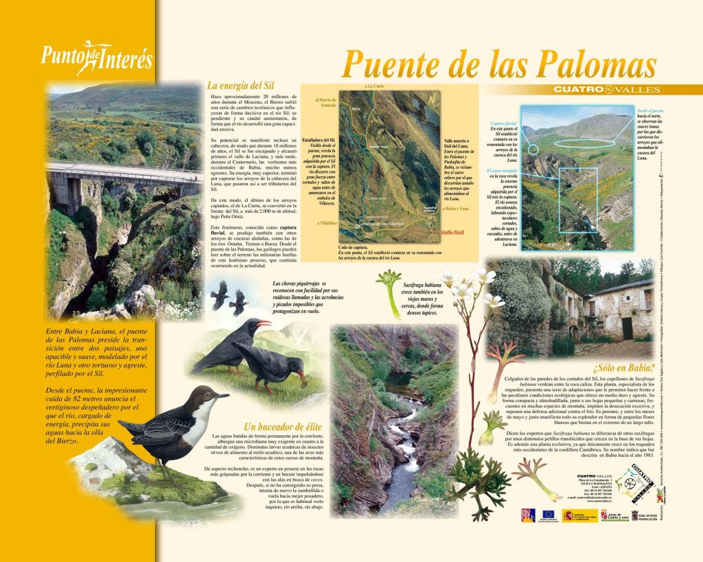 Puente de las Palomas