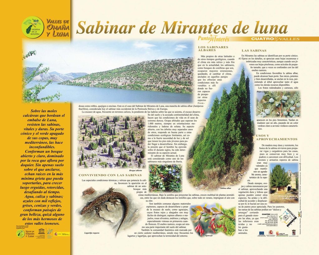 Sabinar Mirantes Luna